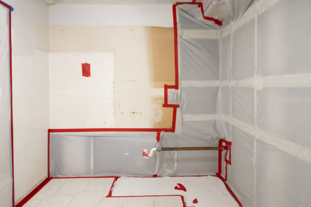 Best Commercial Mold Inspection  in Fulda, MN